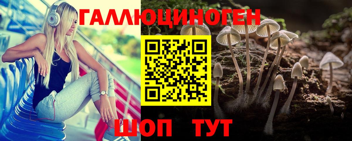 купить   Псилоцибиновые грибы MAGIC MUSHROOMS  Вход с VPN  Гулькевичи 
